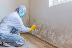 Mold Remediation for Vacation Homes in Riverside, MO