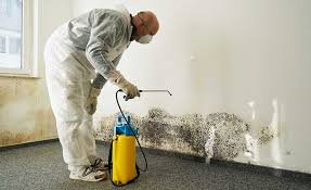 Trusted Riverside, MO Mold Inspection Experts